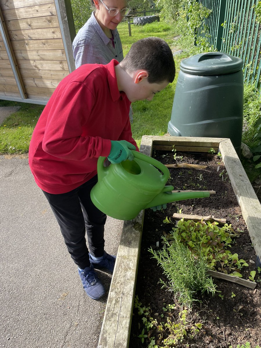 CharlotteSL2017's tweet photo. Another busy ‘Gardening Club’ tonight. Signs made and hung on the fence, strawberries and potatoes watered, peas planted and raised planters prepared for lovely flowers @ophouse_york #BGExtra https://t.co/lUBFPEI7QI