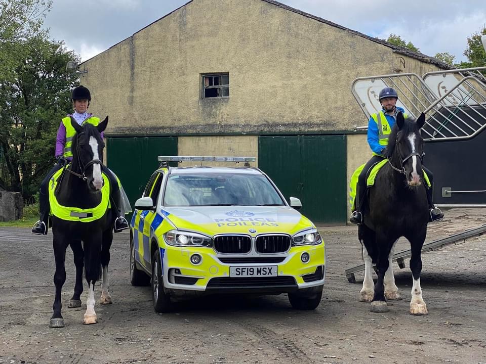 Police Scotland Horses tweet media