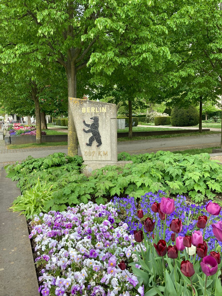 Vortrag #Arbeitsrecht bei #DOREAFAMILIE in #Bingen am #Rhein vor gut 20 ELs gehalten #Rheinland-Pfalz