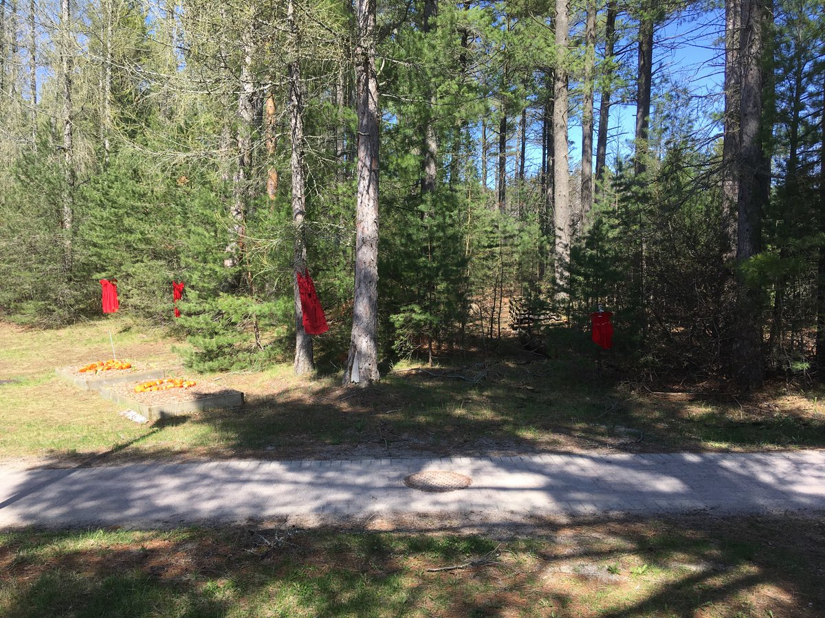 Remember to wear red MAY 5 to raise awareness for the MMIWG. <a href="/FNMI_SCDSB/">SCDSB_IndigenousEd</a> <a href="/SCDSB_PIT/">SCDSB Program</a> <a href="/SCDSBequity/">SCDSB DEI/ML Department</a>