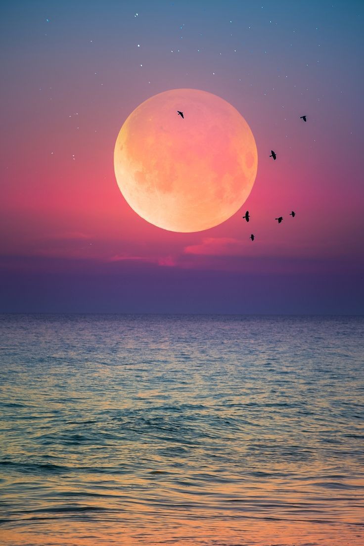 Daniella_C1804's tweet photo. Good night 🌙 https://t.co/56cde5bMq1