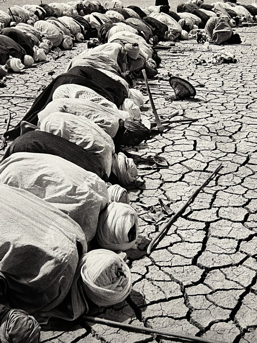 alfonsofemia's tweet photo. A Q U A  M A T E R 
Sebastiao Salgado
Pavillon Monumental by Simon Velez,
De la fragilité de l’eau
L’eau est le bien commun le plus important de l’humanité.
#aquamatter  #tempodacqua #sebastiaosalgado #paris #responsibility #generosity #time #wearetime #simonvelez https://t.co/lQO4dfEfZS