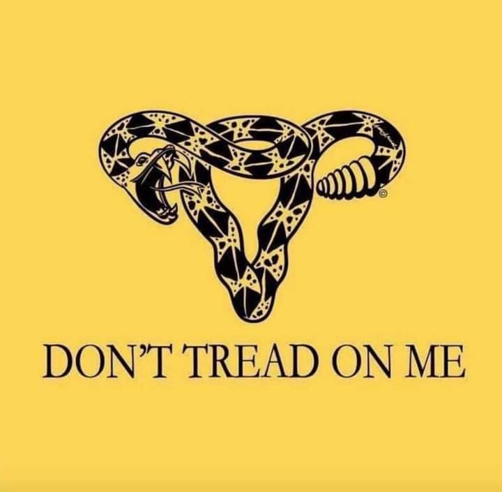 rainbowtaylor5's tweet photo. Keep your laws off my body!!! https://t.co/c7V3sQzQ2l