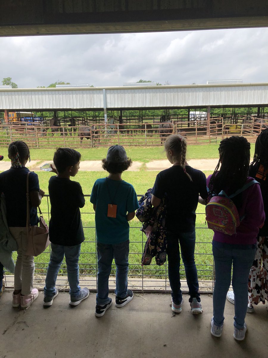 2nd Grade had an amazing time on our field trip at the Outdoor Learning Center!! #LandryLeaders #LandryLonghorns #FieldTripCompleted <a href="/MathinThePark/">Anna Park</a> <a href="/ReadwithMsA/">Ms. Austin</a> @MrsReynoldsTX