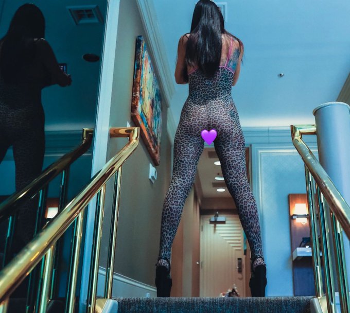 No emojis on 🙈 https://t.co/xtL7imSqTU https://t.co/1Xw9oPNMPW<a href="/tag/sparksgowild"class="tags"><span>#sparksgowild</span></a>