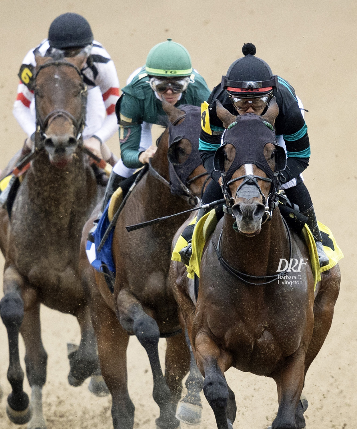 Daily Racing Form Race Results