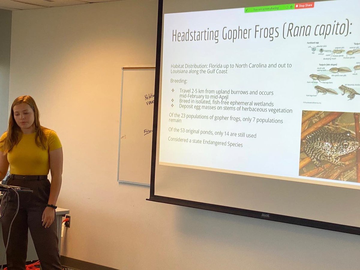 HeatherMoeller_'s tweet photo. Had the great opportunity to attend the Semester @ CMAST program this spring!! I got to work with the amazing Dr. Carol Price on gopher frogs in the Croatan National Forest and give a final presentation on the topic!! I love all of these people so much ❤️❤️ @_CMAST https://t.co/iMxvcIIEZg