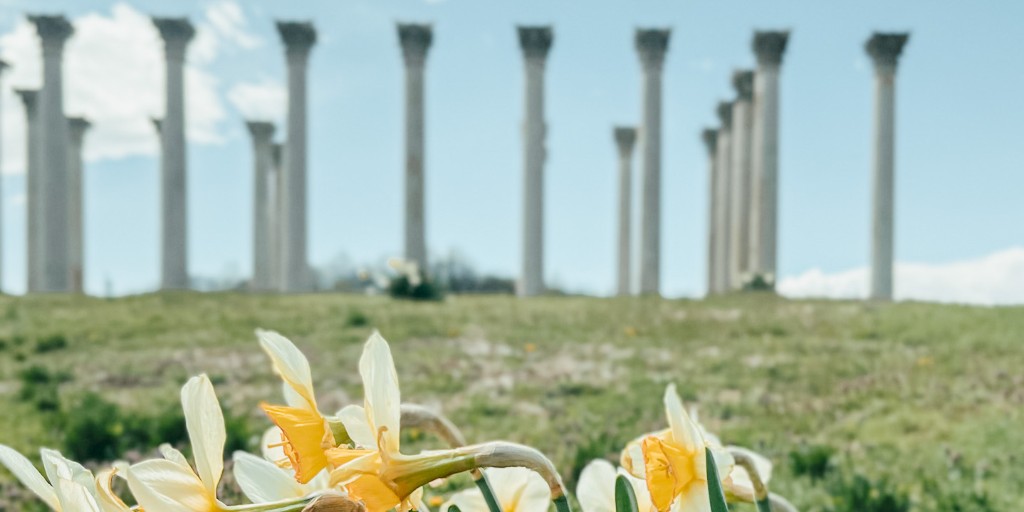 GeorgetownELC's tweet photo. What better way to celebrate spring than with a picnic? The ELC dinned at the beautiful National Arboretum, enjoying lunch together then taking a stroll through the scenic grounds. At the Arboretum, you can see tiny trees at the National Bonsai and Penjing Museum!
#GeorgetownELC https://t.co/280hTBNDCQ