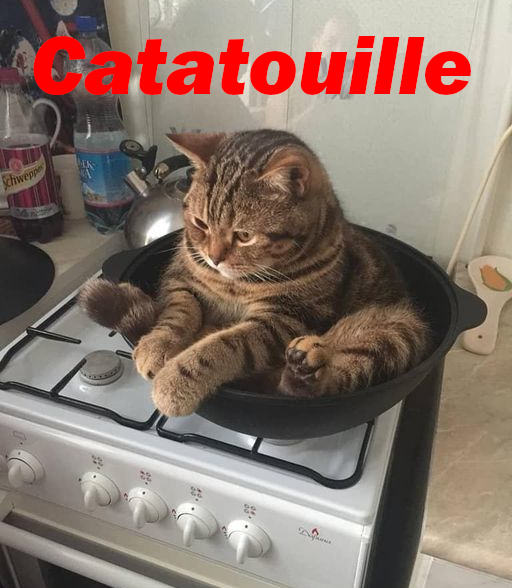 "Hey Razoo, whatcha want for dinner?"
"Cat stew."
"Gesundheit."