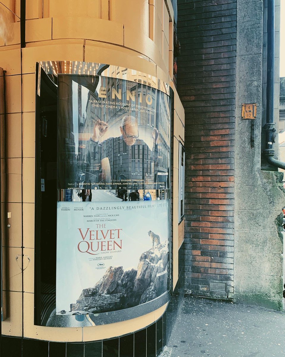 The most beautiful of films #thevelvetqueen <a href="/glasgowfilm/">GFT</a> 
Go see it - it’s beautiful! 
#snowleopard #tibet #landofsnow