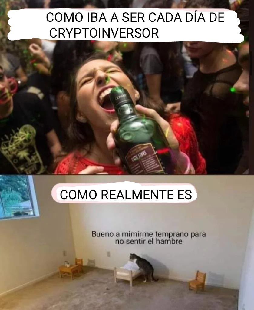 emprexto's tweet photo. Como iba a ser cada día de #cryptoinversor 🚀

Como Realmente es😂

#Criptomonedas #Bitcoin #btc https://t.co/cGF53b3hfo