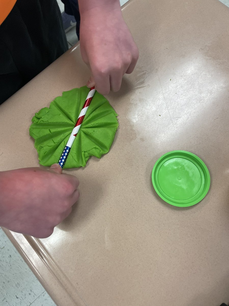 Mrs. Gitto 3rd Grade tweet media