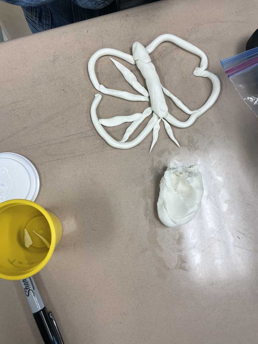 Mrs. Gitto 3rd Grade tweet media