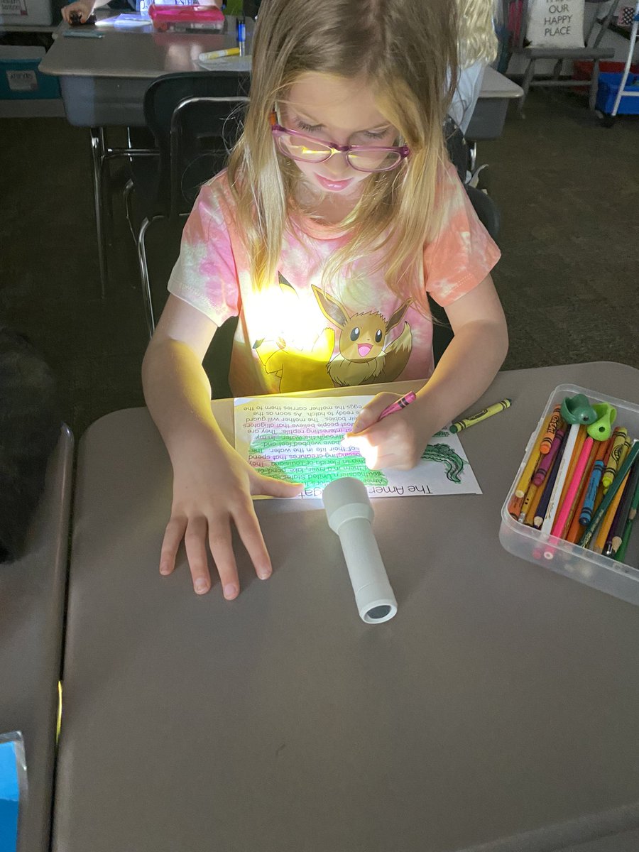 dclingingsmith1's tweet photo. L is for Lights Out Day!!! Friends loved learning and working with the lights out and flashlights on today!! 🔦 #fabulousfirsties #flashlightfun #abccountdown @VV_Voyagers https://t.co/GDDHrW4L9X