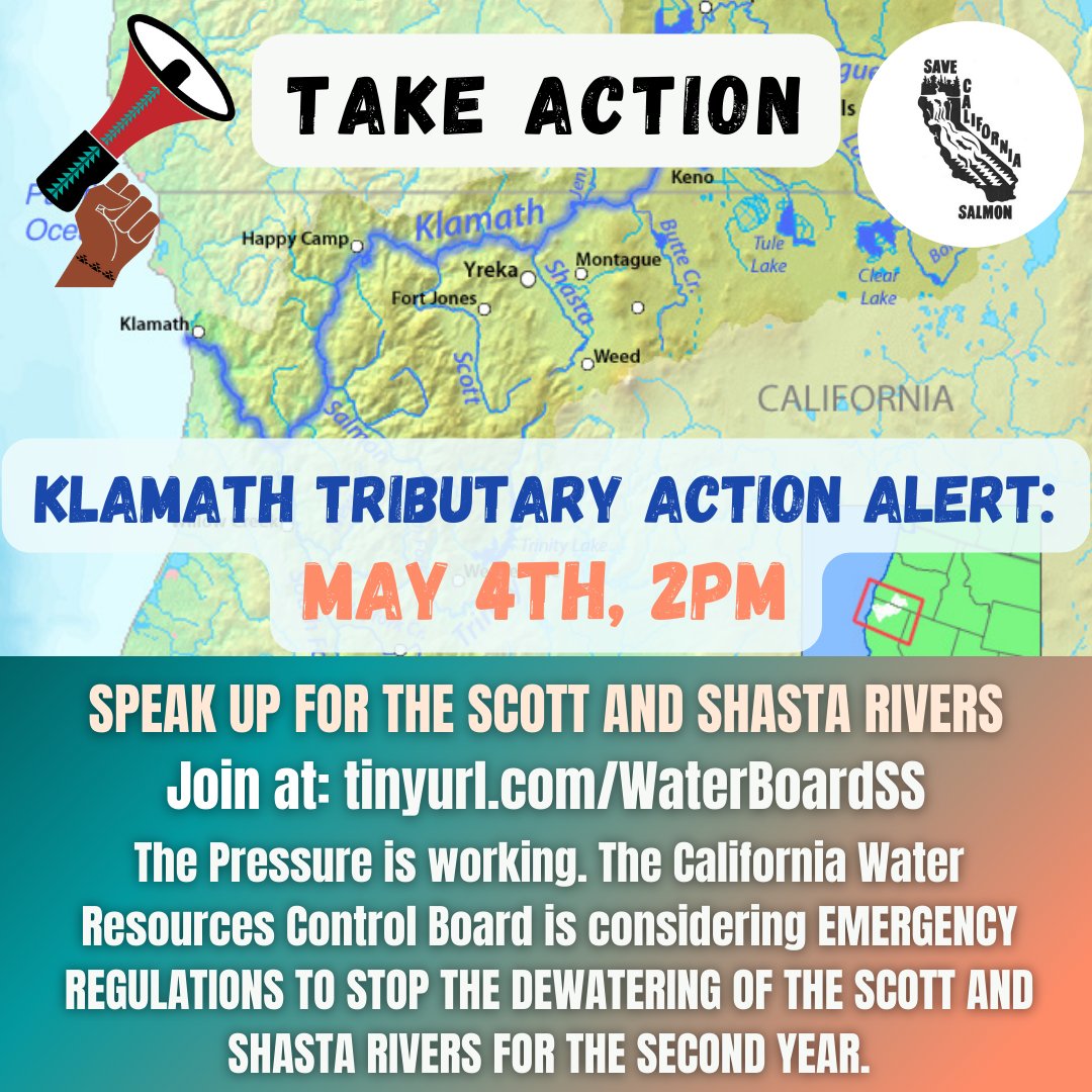 SaveCaliSalmon's tweet photo. #TakeAction Please testify for the Klamath Salmon and ask for water for salmon. The meeting is happening now. This is the link: https://t.co/iCYznmFmQO
#ClimateAction #FishNeedWater #ClimateJustice https://t.co/Wm9t9ZMlh1