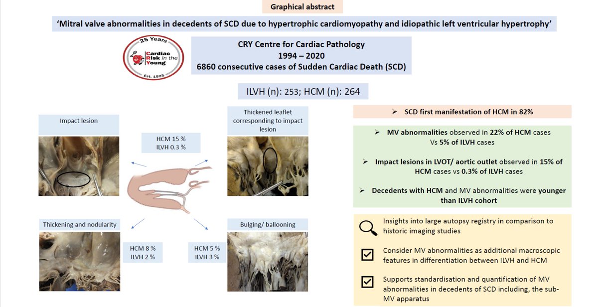 Mitral valve abnormalities in decedents of sudden cardiac death due to HCM and ILVH, by <a href="/DrRaghavBhatia/">Raghav Bhatia</a> <a href="/DrShafikKhoury/">Shafik Khoury</a> Joseph Westaby <a href="/BehrElijah/">Elijah Behr</a> <a href="/MichaelPapadak2/">Prof Michael Papadakis</a> <a href="/SheppardNoelle/">Mary Noelle Sheppard</a> <a href="/gherardobis/">Gherardo Finocchiaro</a> <a href="/SSharmacardio/">Sanjay Sharma</a> <a href="/CRY_UK/">CRY</a> <a href="/CryCardiac/">CRY Cardiac Path</a> - OPEN ACCESS!  bit.ly/3KLE6Lo