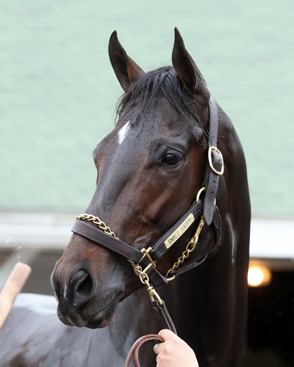 KentuckyDerby's tweet photo. These pictures make us smile happy. https://t.co/jG37qleUnj