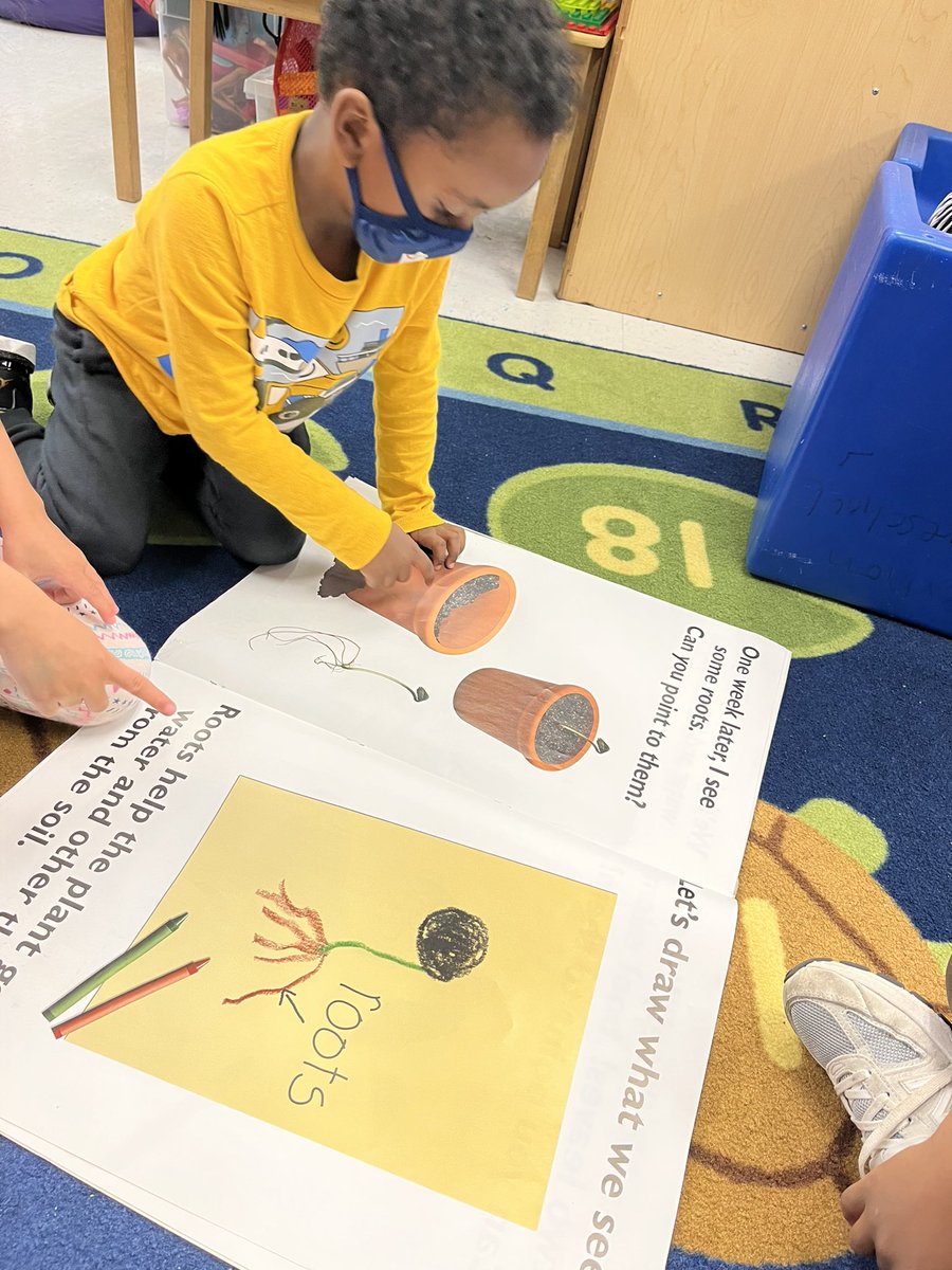 MsBaker_MVW's tweet photo. We can name the parts of a plant! #fcpsprek #mvwes https://t.co/eRrfxSdxia