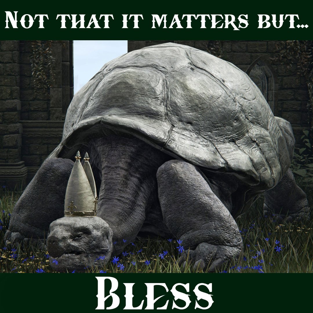 pqlaertes's tweet photo. I don't even go here, but I'm inordinately proud of this #eldenring #popeturtle #neverendingstory #morla https://t.co/ZPo6TsVrJK