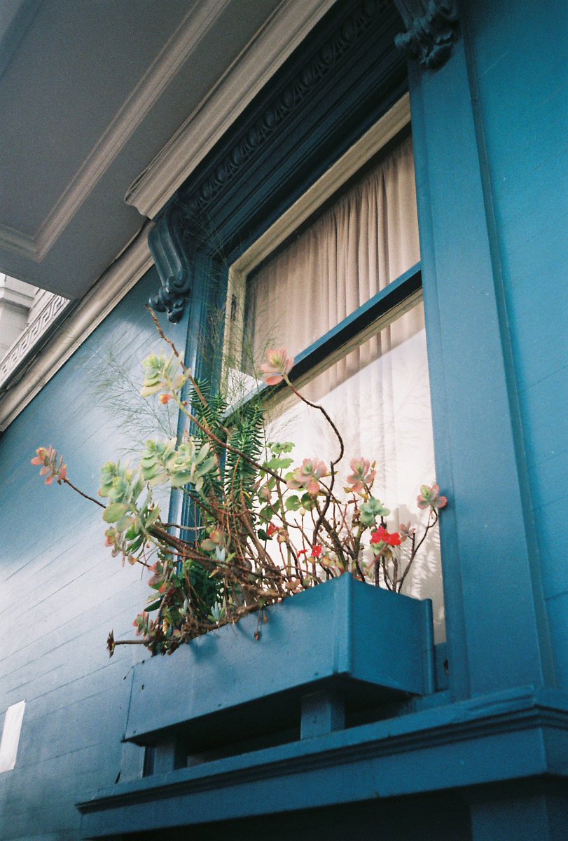PhotographyPoff's tweet photo. blue #35mmfilm https://t.co/kWsapn5bAj