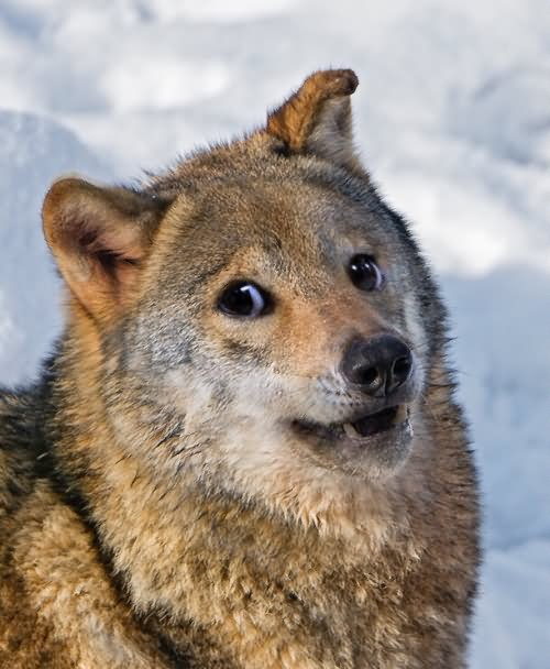 MunchPak tweet media