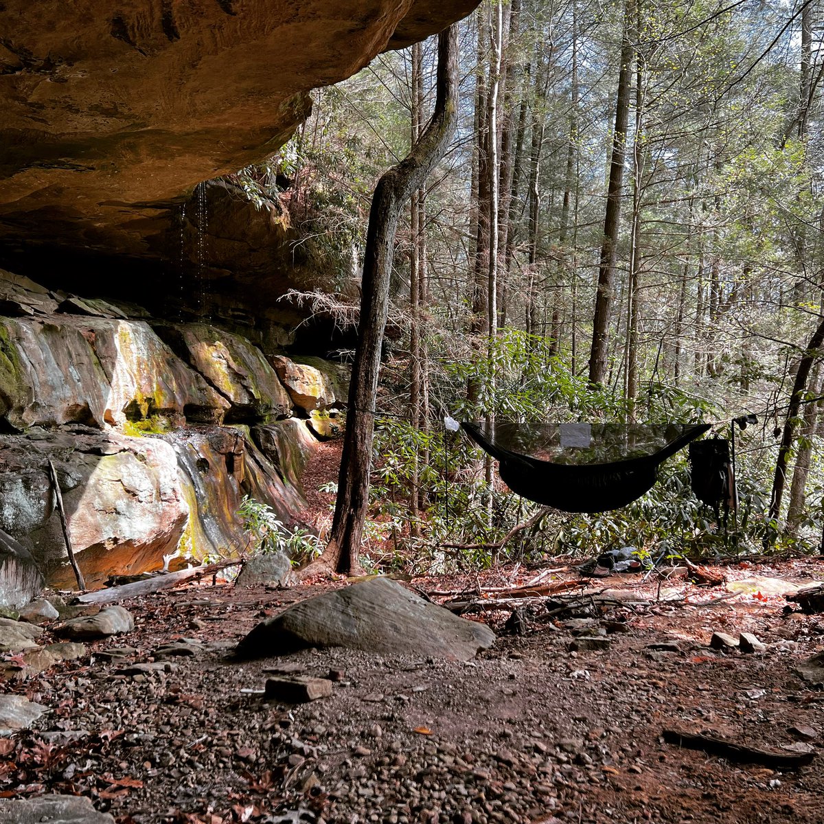 I love finding campsites where nobody can find you. #cliftywilderness #redrivergorge