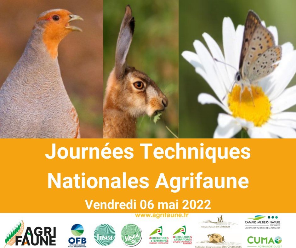 #LibertéRuralité 
#ChassePartage

Vendredi 6 mai à Coutances (50) pour les Journées Techniques Nationales Agrifaune : 
"Concilier agriculture et faune sauvage"

#Agriculture 
#Elevage #Biodiversité #Environnement #Nature 

#IlsSachentNousChassons