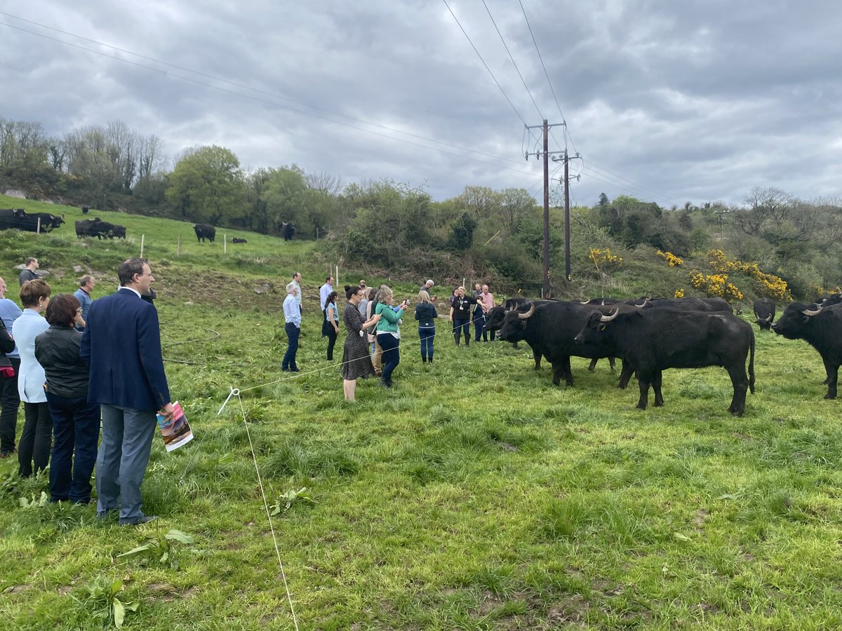 Gougane Barra Hotel tweet media