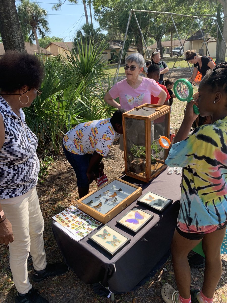 So much learning about butterflies today!  #suncoastremakedays  #remakelearningdays <a href="/ThePattersonFdn/">The Patterson Foundation</a>