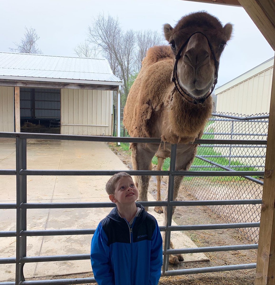 stbernschool's tweet photo. Kindergarten field trip to Majestic Meadows in Medina today. They had so much fun! #stbgrows https://t.co/kSfkPyC07S