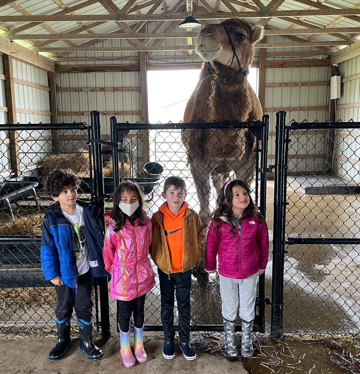 stbernschool's tweet photo. Kindergarten field trip to Majestic Meadows in Medina today. They had so much fun! #stbgrows https://t.co/kSfkPyC07S