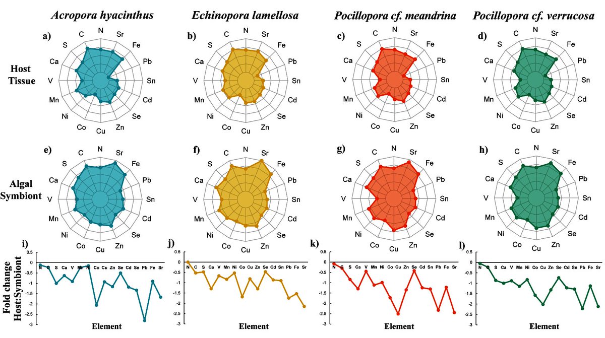 amandajgrima's tweet photo. Honours research published!
🪸1st application of #elementome & biogeochemical niche concept to #coral
🔍Found species-specific elementomes for coral host & associated Symbiodiniaceae
💡Future of elementome as novel measure of stress tolerance & resilience
https://t.co/g79ZKgDNc4 https://t.co/lnK2P0HnMd