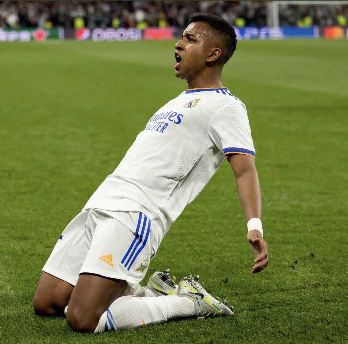 GillsInTheBlood tweet media