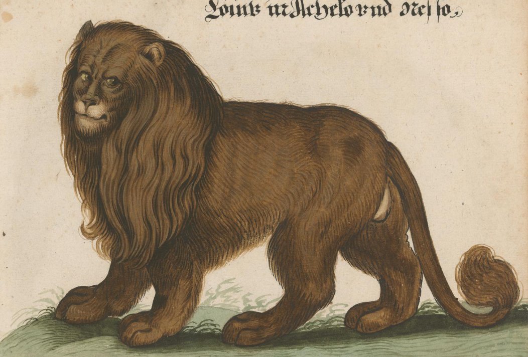 yall the original source for 𝔎𝔞𝔱𝔷 was located and i regret to inform you that.....there are more of them