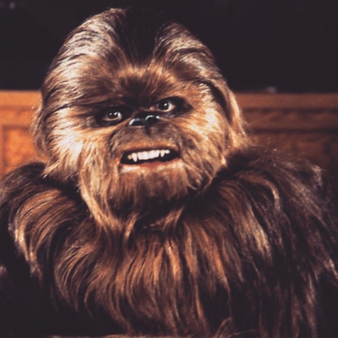 ᴍᴏᴅᴇʀɴ ᴋɴɪɢʜᴛ tweet media