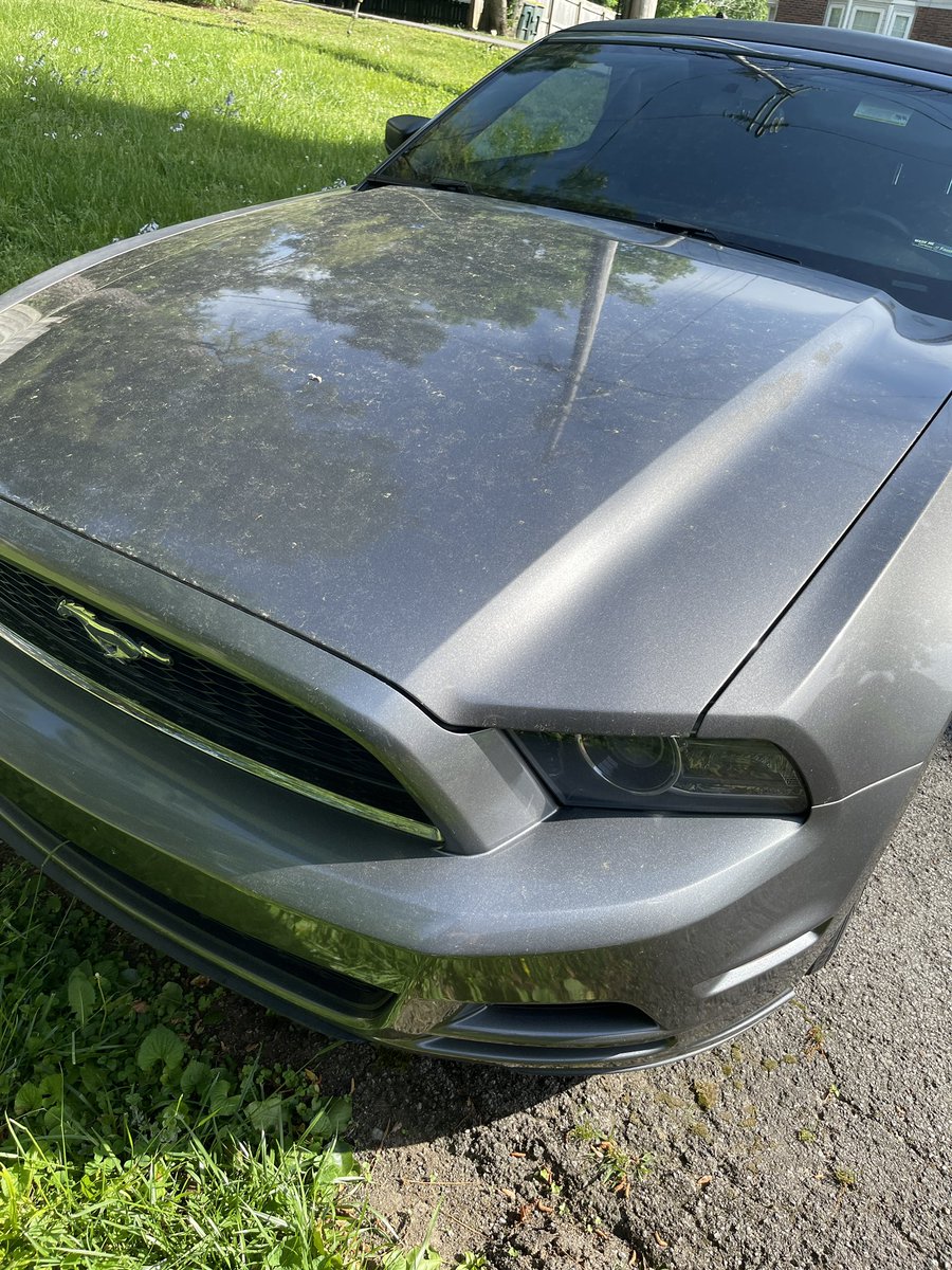 gorgeouseyes_cg's tweet image. When you walk out your house decently happy and you see your car after a 3day wash #springproblems #pollen