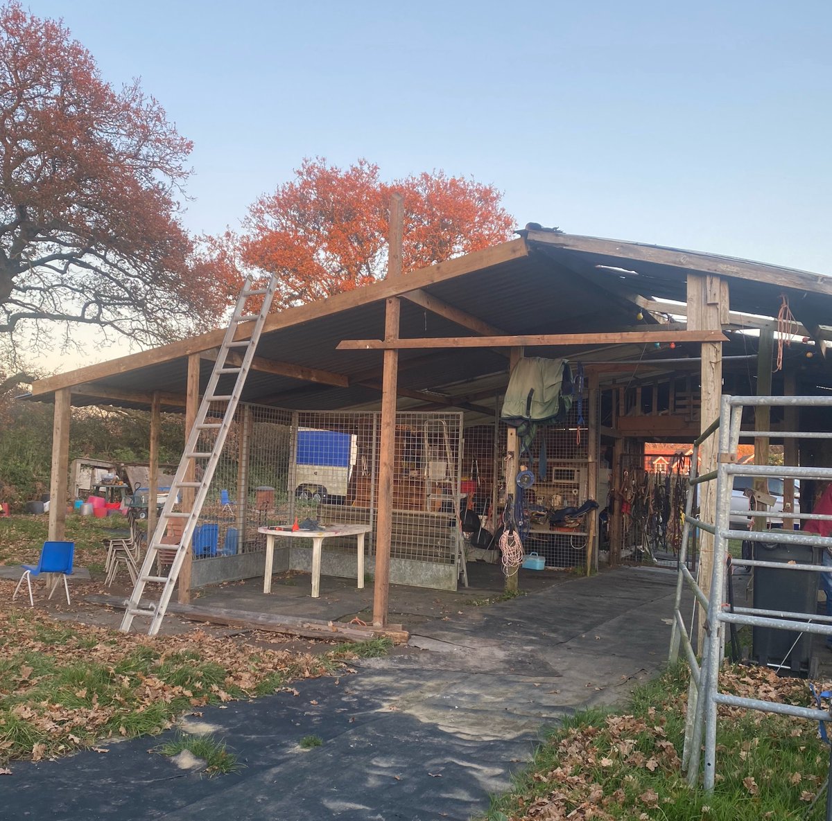 CountryCornerUK's tweet photo. We have a new barn roof at last! https://t.co/sN3UliINMC