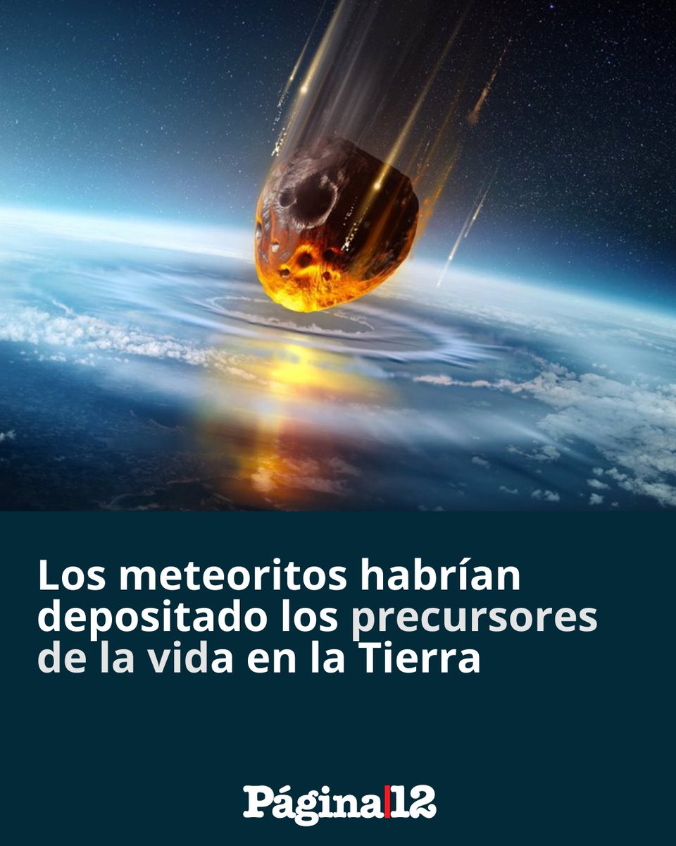😱 SORPRENDENTE DESCUBRIMIENTO 

😯 Un reciente estudio reveló que los cuatro componentes más importantes del ADN fueron encontrados en restos de rocas espaciales que cayeron en la Tierra en el último cuarto de siglo. [bit.ly/3ycxR0i]