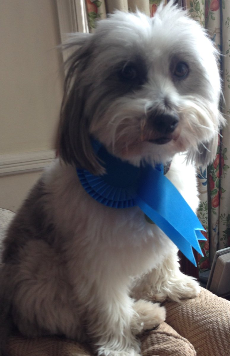 Oonagh Moulton tweet media