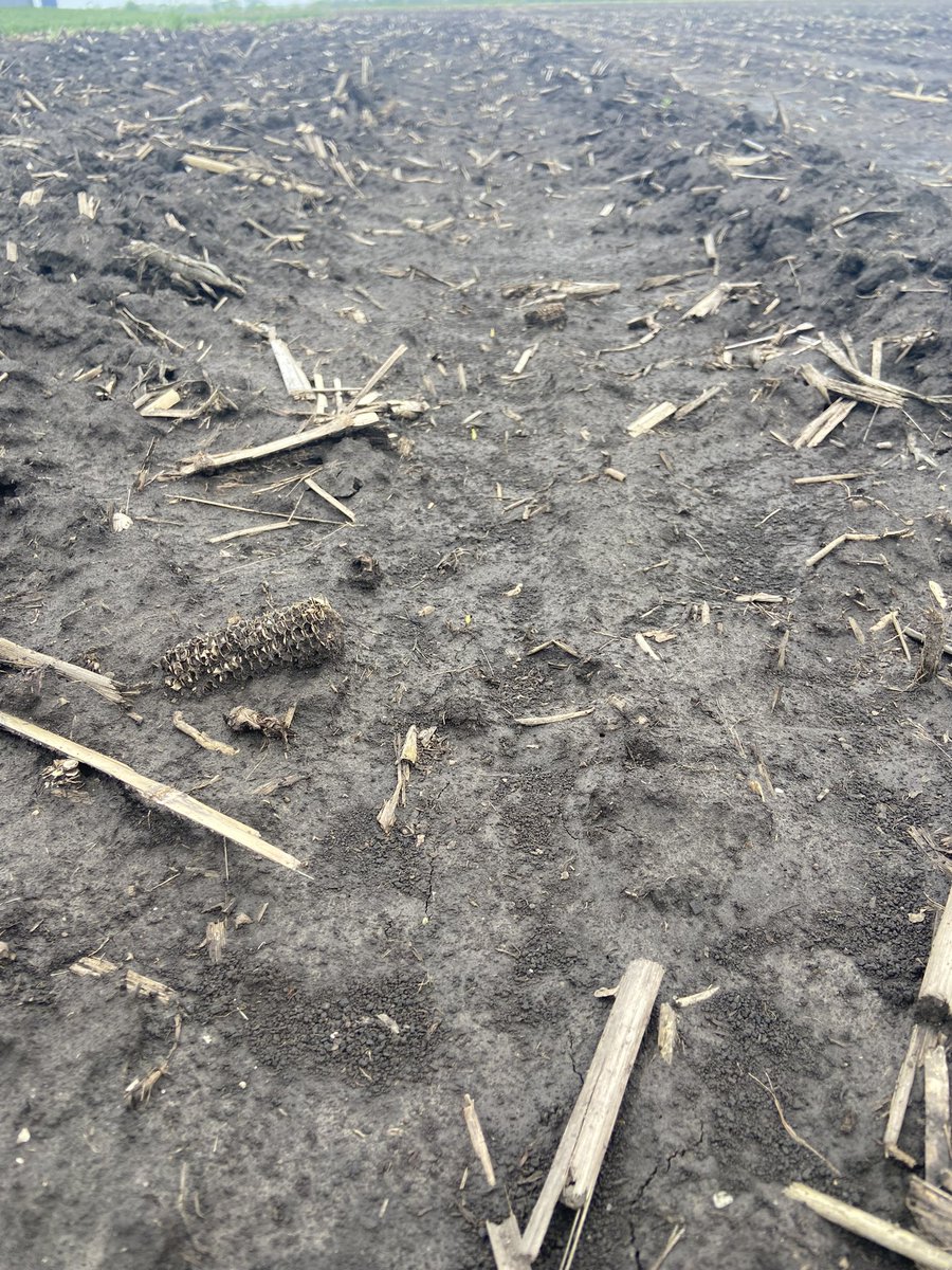 Kyle Owens tweet media