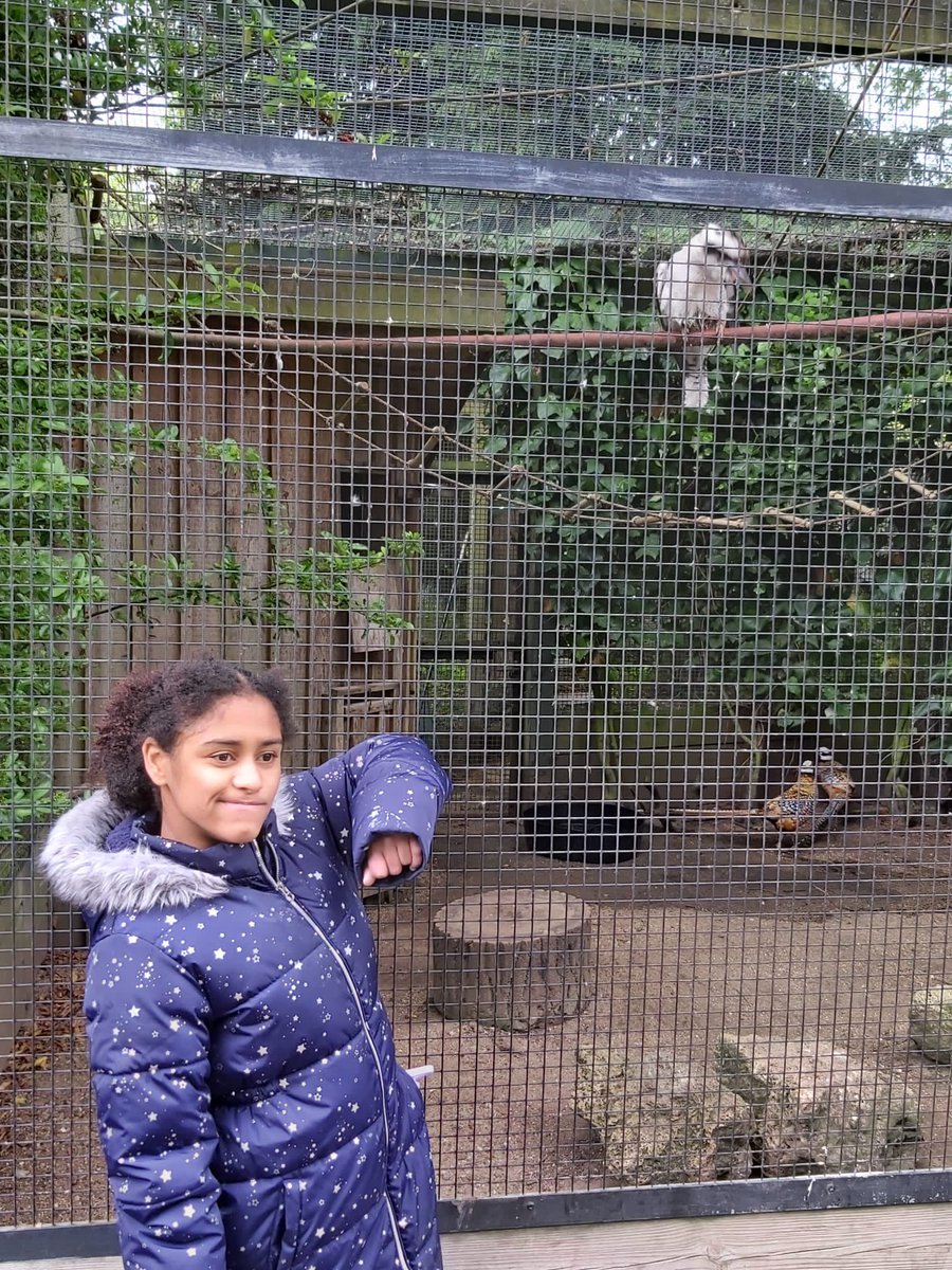 CarwardenHouse's tweet photo. A visit to bird world #6thformstaycation https://t.co/94M2Gz6TLF