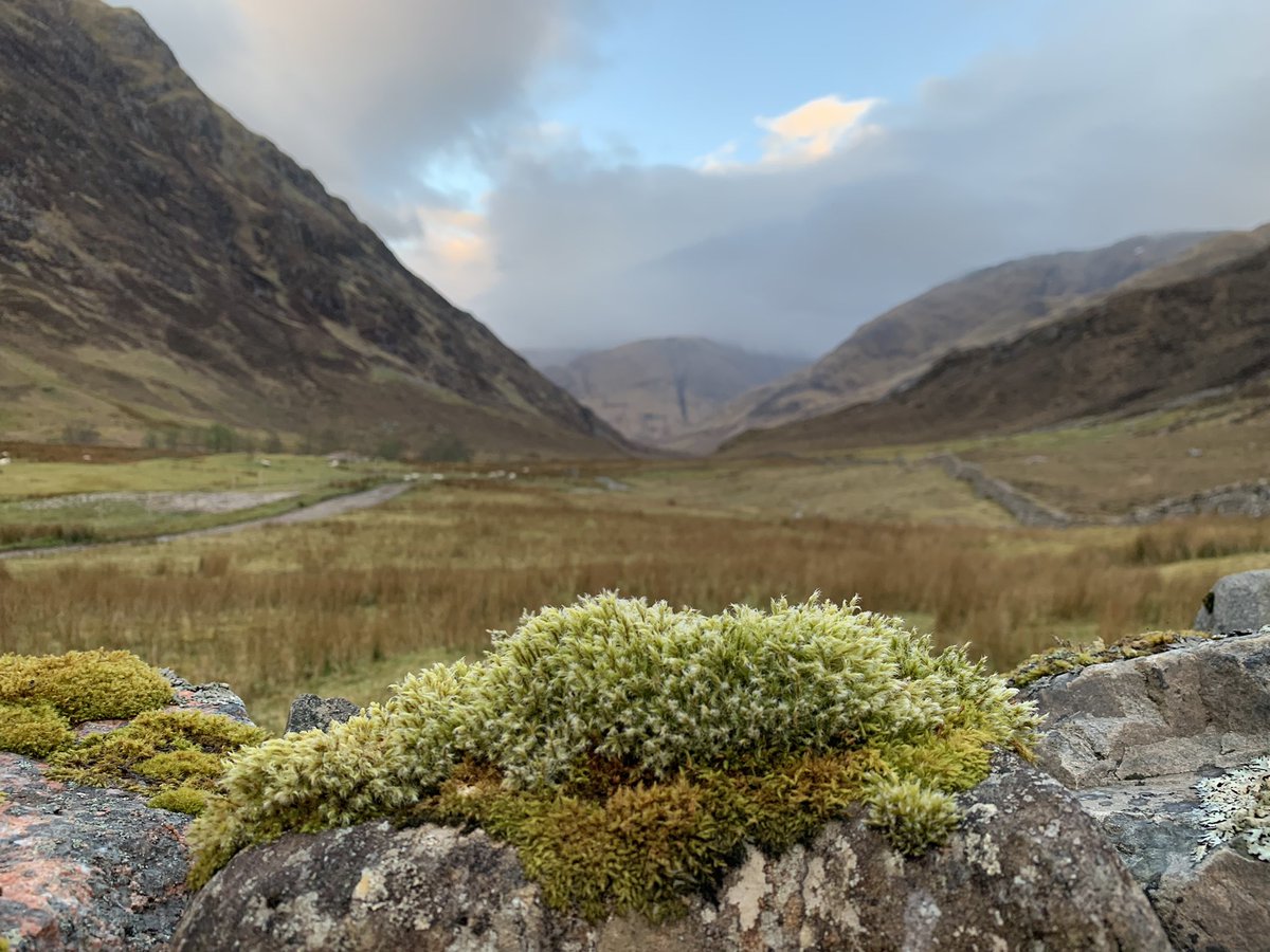 fleurrbie's tweet photo. A lovely soft evening light after the heavy rain on Saturday…
#Morvich #Kintail ⛰⛰⛰⛰⛰⛰💙 https://t.co/SX7juKGWf9