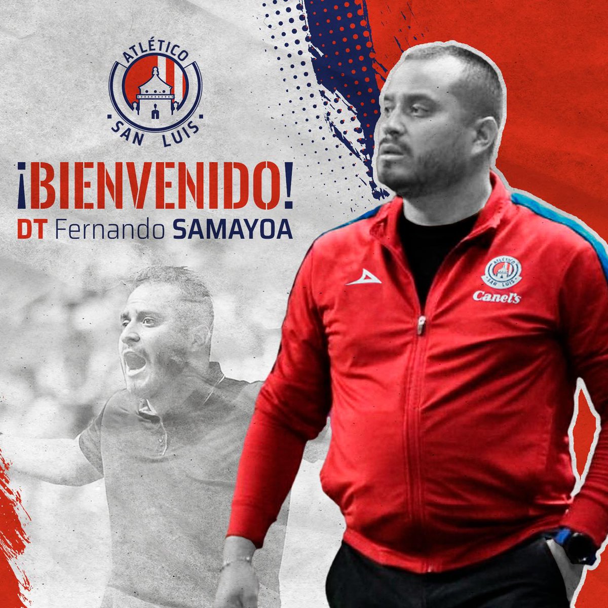AntenaSanLuis's tweet photo. #ADSLF tiene nuevo #timonel
#AtléticodeSanLuisFemenil dio a conocer la contratación de su nuevo técnico para el próximo torneo, se trata de #FernandoSamayoa, quien hasta hace unos días estuviera el frente del Atlas femenil -> https://t.co/iEcRb0OxcB https://t.co/jwUeAAxvLv