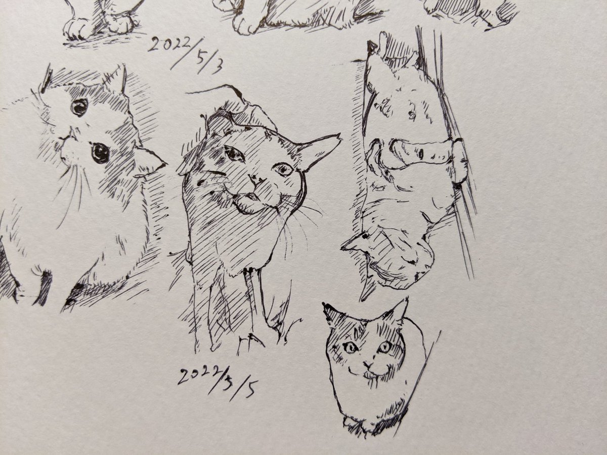 あばよGW…カキカキ。 