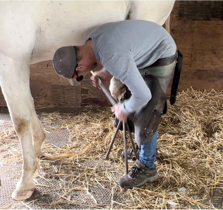 CountryCornerUK's tweet photo. Pedicure for Lacey and Tango today. https://t.co/AdouTLirBO