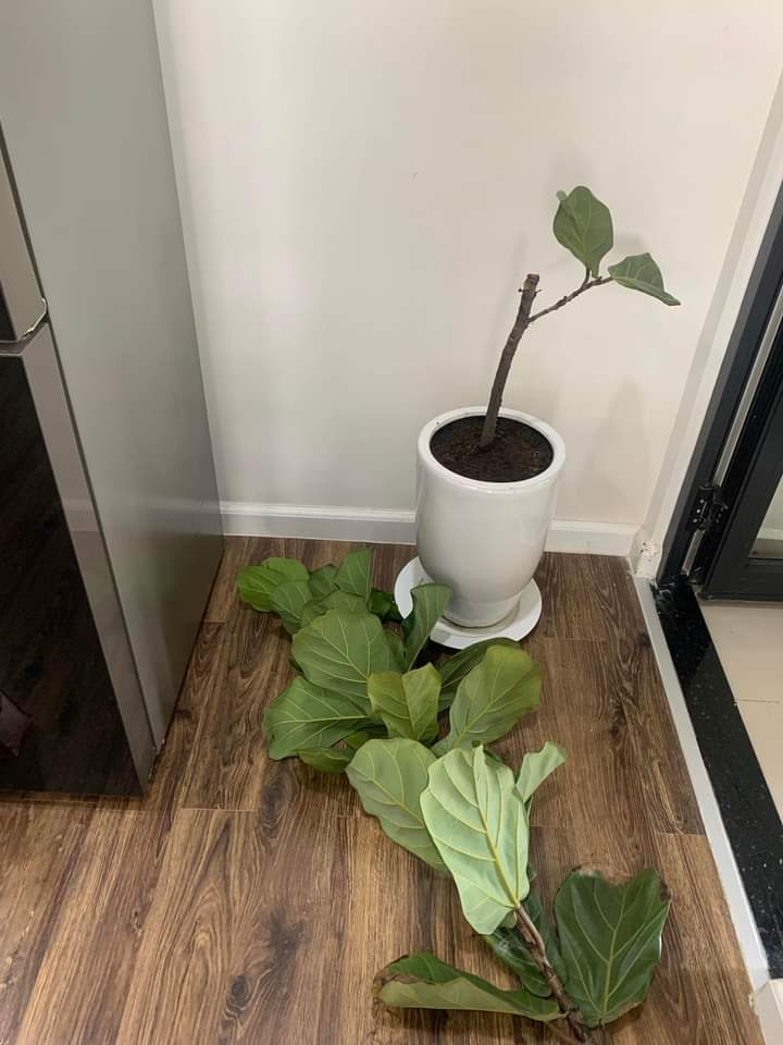 jacktabt's tweet image. This gives me hope in this turbulent times. #SayNoToWar  #UkraineRussiaWar