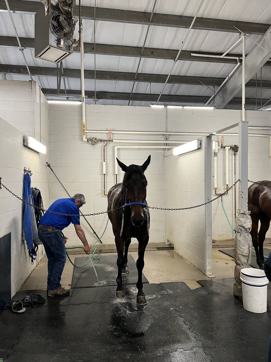 Neon lights scored the drop and pop <a href="/TheRacewayWFD/">The Raceway</a>