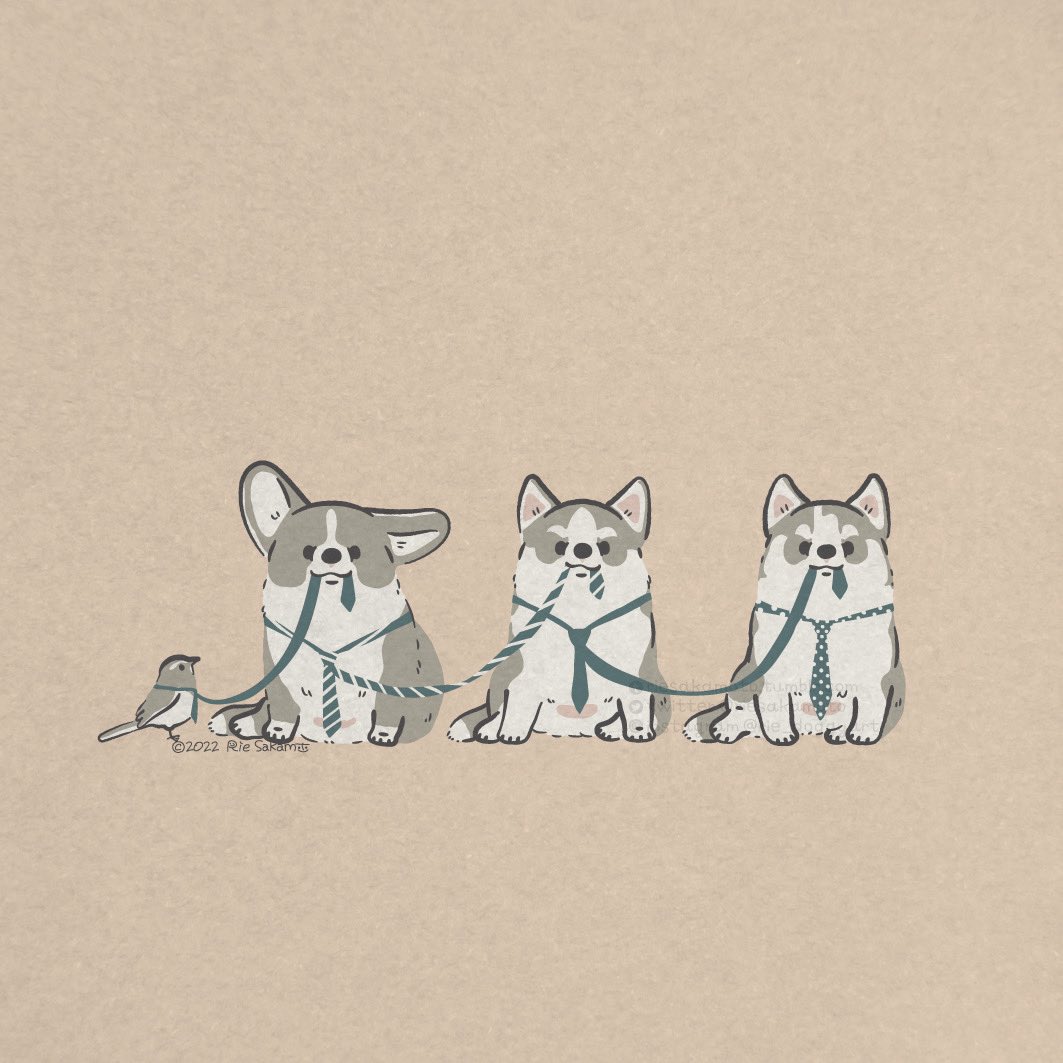 「こどもの日のハスキーとコーギーたち
#こどもの日 #子供の日 」|サカモトリエ/イラストレーターのイラスト
