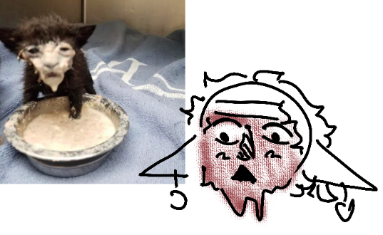 BigEyeCrew's tweet photo. // blood

i did this in like a minute so its bad but i needed to do this https://t.co/FDgaUKETGf