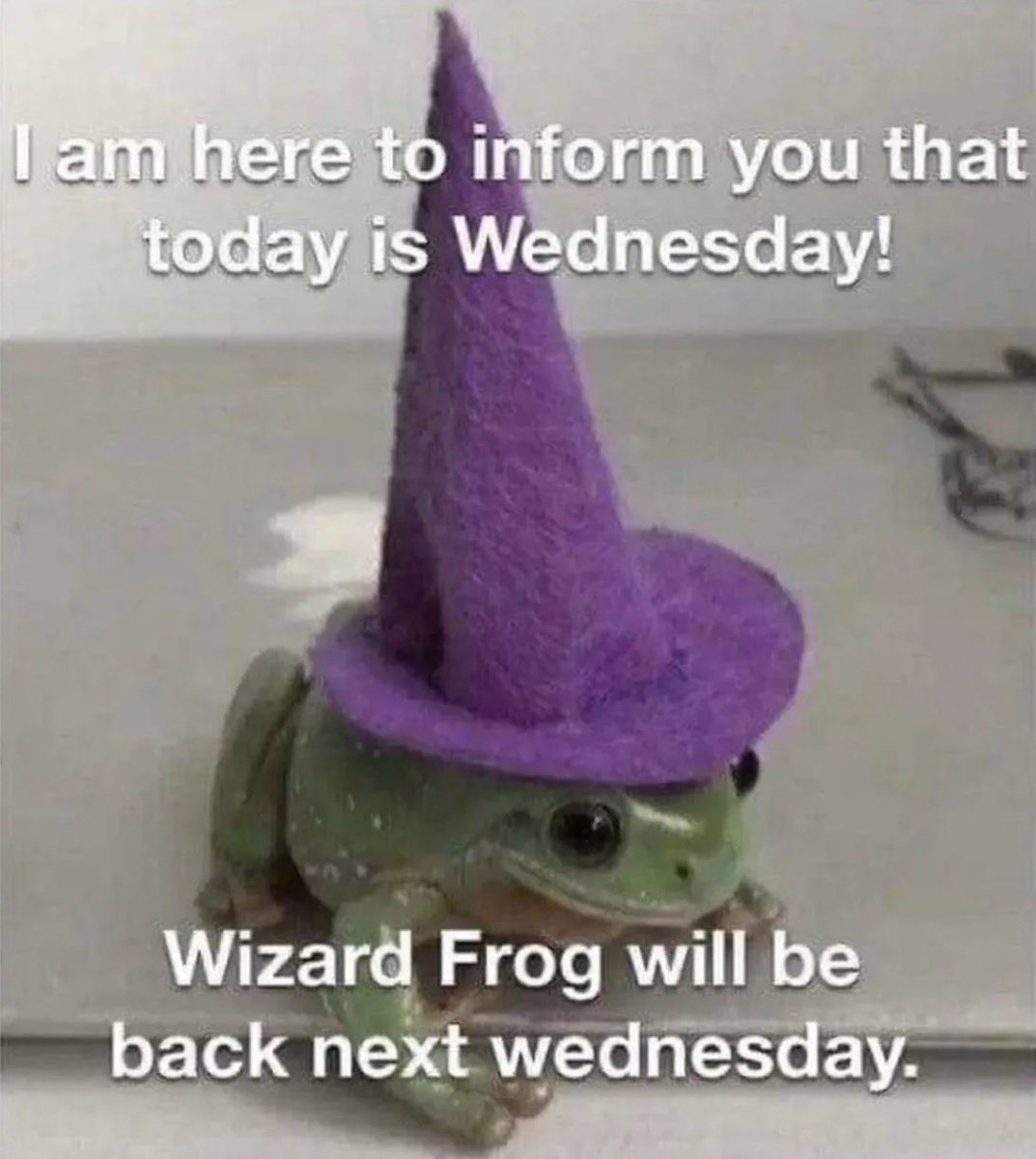 WizardsDAO's tweet photo. happy wizrd frug wensday mfs https://t.co/B6zTwWqqIa
